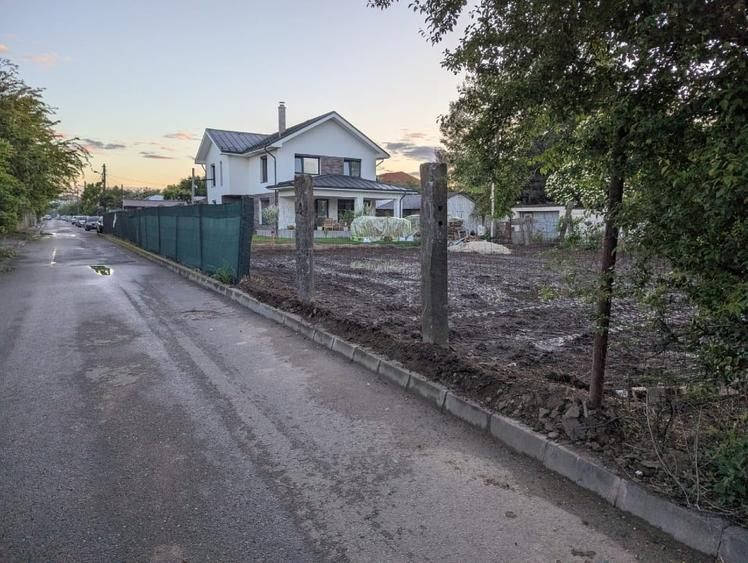 Teren Straulesti 500mp - 1