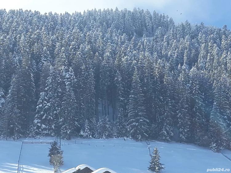 Vand casa la munte in Campulung Moldovenesc - 5