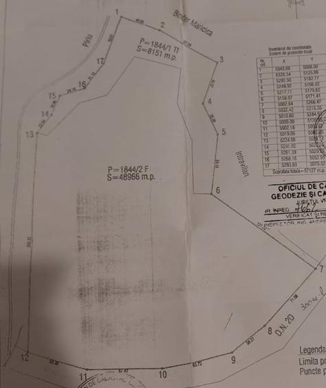 Teren agricol extravilan de 57000 mp, în Lepșa
