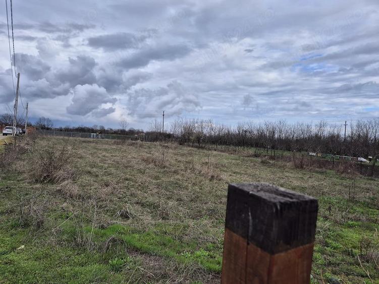Teren de 2400 mp, în Cârlomănești