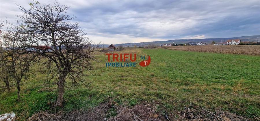 Teren Construcții intravilan de 2160 mp, în Partoș
