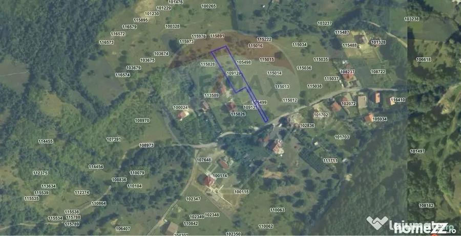 Teren 1,697mp Cisnadioara / Strada Silvicultorilor - 5