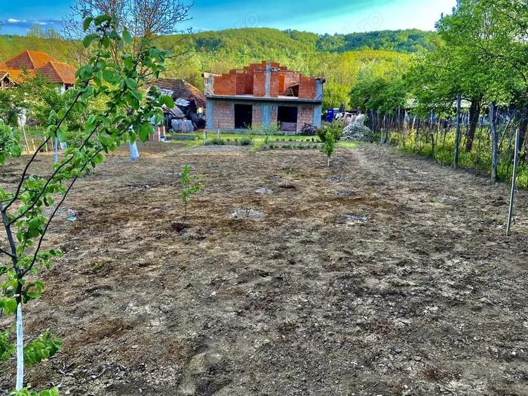 Casă cu 4 camere cu Teren 5000 Mp în Central