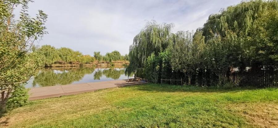 Corbeanca Lac Vila P 1, poton, teren 1500mp - 5