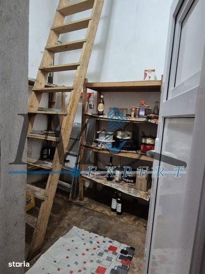 Casa ,curte ?i gradina.Teren cu 2700 mp. - 6
