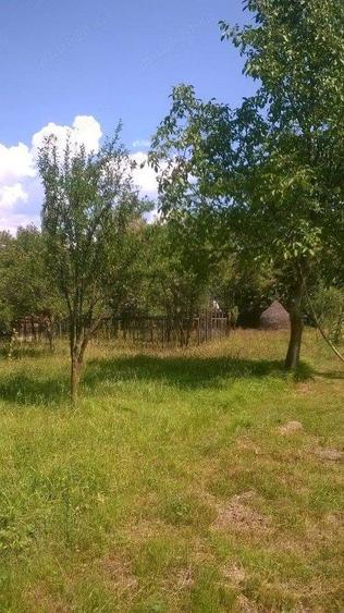 Casa ?i teren de vanzare - 3