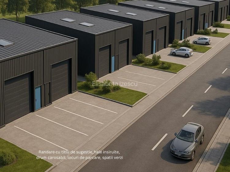 Teren Cernica investitie Hale Depozite