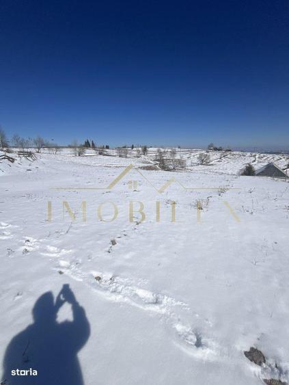 Teren in Marisel 5000 mp - 6