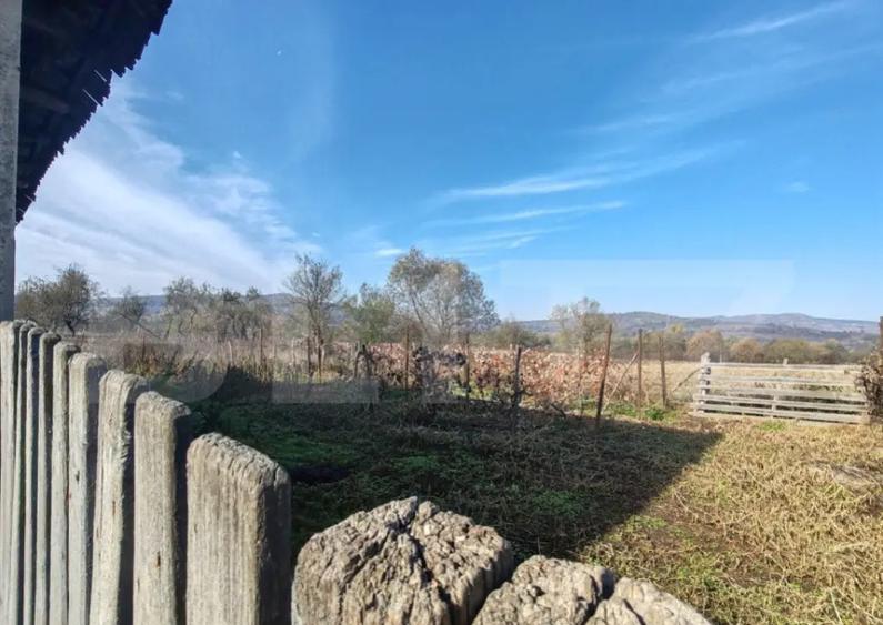 Casa familiala cu anexe gospoadaresti si teren in suprafata - 6