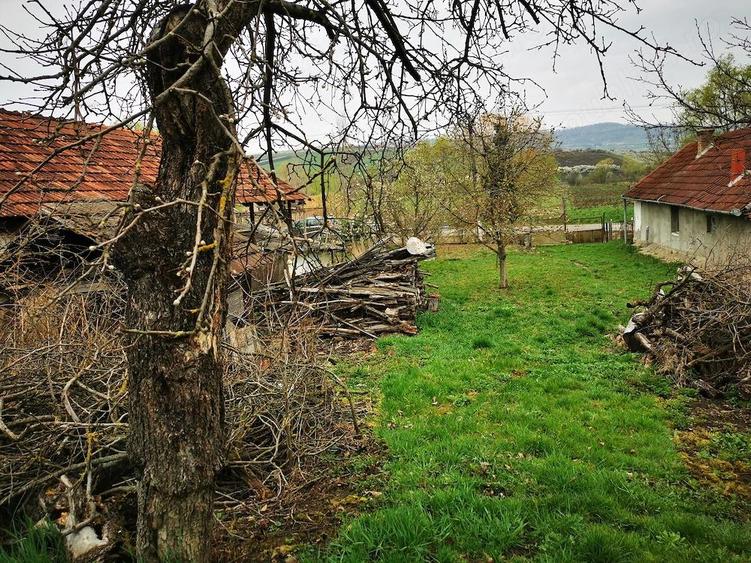 Casa cu teren de vanzare - 4