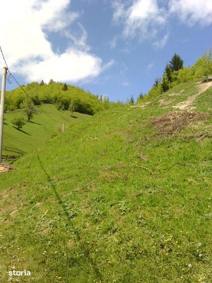 Teren intravilan de vanzare Moieciu de Jos - 1