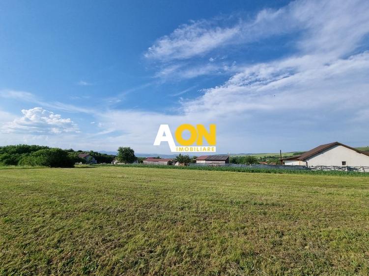 De vanzare 1974mp teren intravilan, cu utilitati, Oarda de Sus - 4