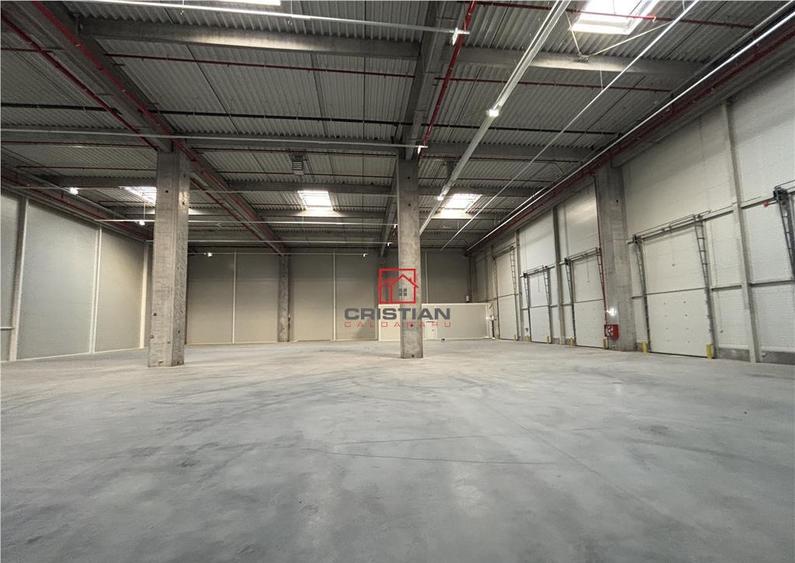 Depozit/hala/spatiu industrial Theodor Pallady - A2 - 2