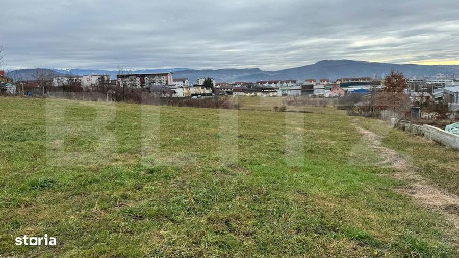 Teren intravilan de vanzare, 4.600 mp, zona Tarpiului din Bistrita - 6