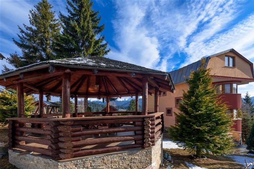 Domeniu turistic, zona pitoreasca, priveliste, aer curat, conditii speciale - 21