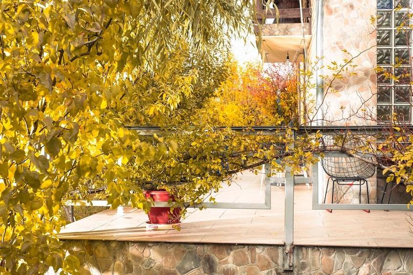 Casa si teren zona deosebita - 9