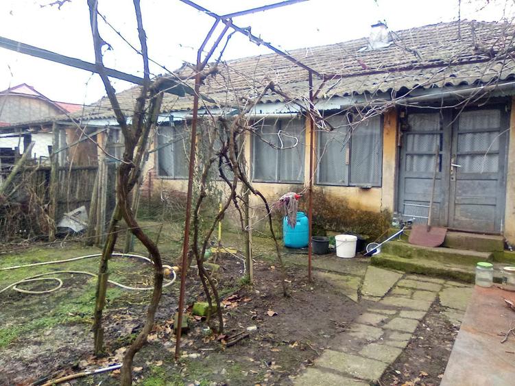 Casa cu teren 4500 mp - 1