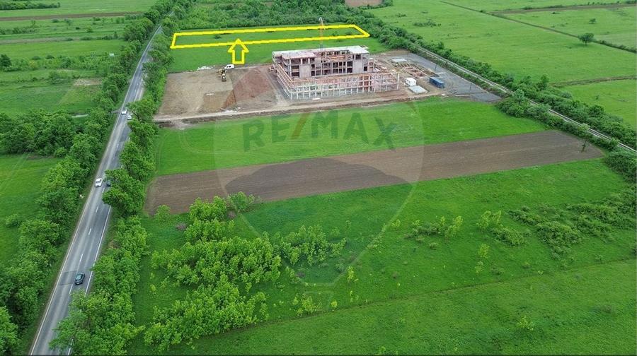 Teren 4,000mp Cicarlau / Strada Principala intravilan - 1