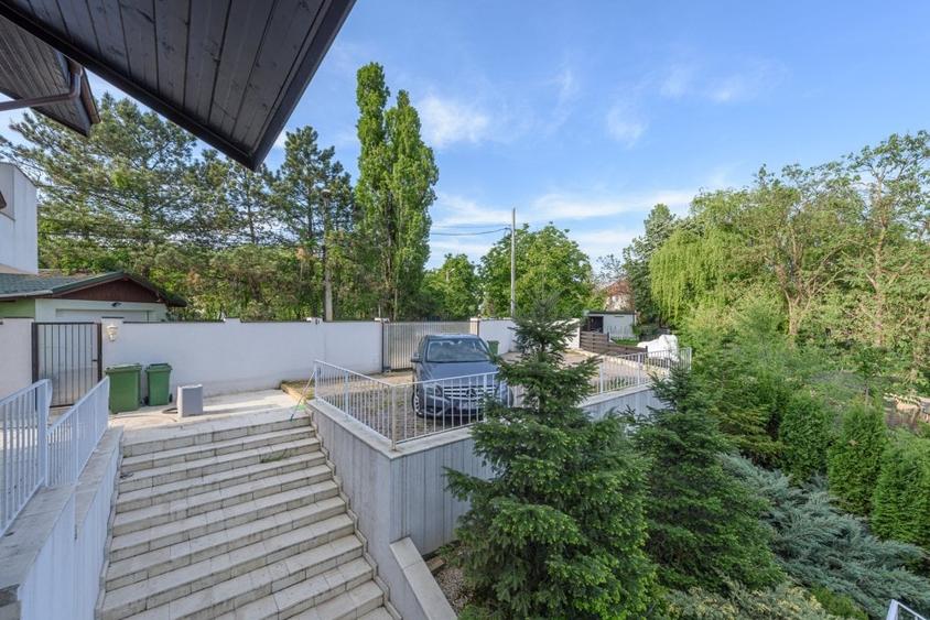 Vila eleganta pe malul lacului| Ponton si piscina| Snagov - 19