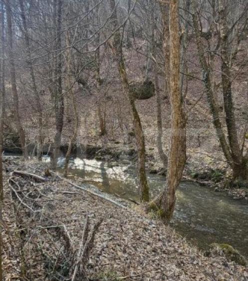 Casa in inima naturii, 140 mp la doar 15 minute de H - 15