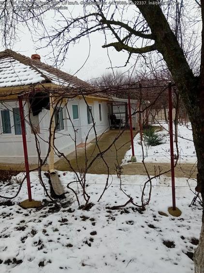 Vand casa langa Bucure?ti comuna gruiu - 6
