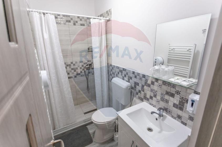 Pensiune agroturistică cu 6 camere + Casă de locuit, de vânzare - 13