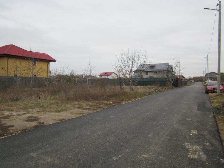 Drumul Targului-Stelelor - 6