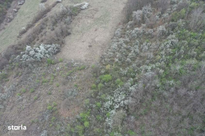 Teren 8114 mp lupoaia holod livada cf+topo acces auto aproape de sat - 2