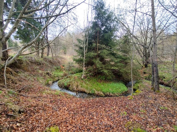 Teren Superb la Munte, Drăguș (BV) – Țara Făgărașului, zonă turistică, cu pârău - 8