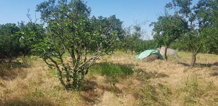 Vand Casa sau schimb cu variante . - 4