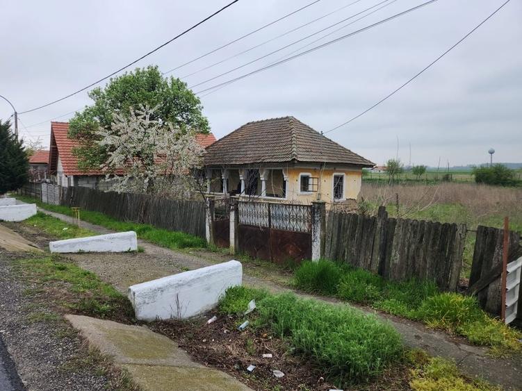 Casa + teren Rogova 7000mp - 4