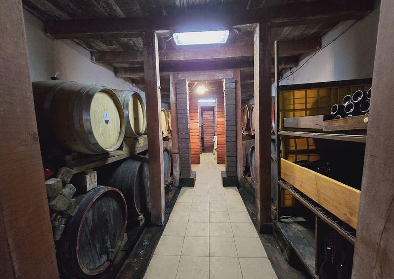 Vie Tradi?ionala Halta Lupilor - 3