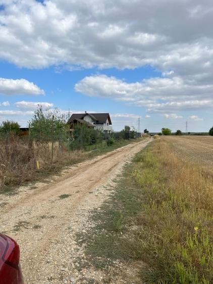 Terenuri Peris - loturi de 800 mp +130mp drum acces - 10