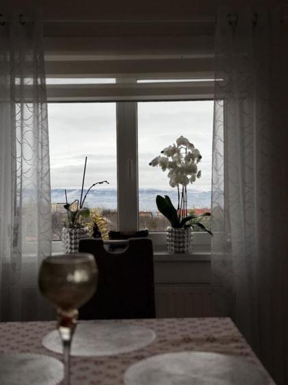 Vila /Casa cu potential in Faget ,510 mp utili - 9