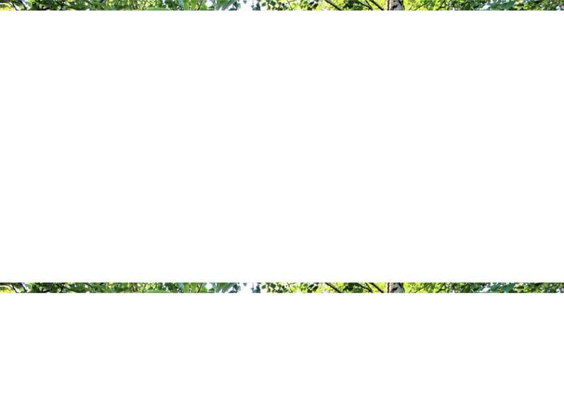 Buftea teren superb 800 mp lotizare posibila + AConstruire P+E - 5