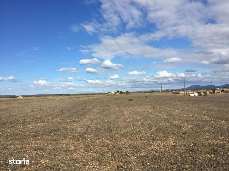 Teren intravilan Gadinti, 1.000 mp, deschidere 32 ml - 1