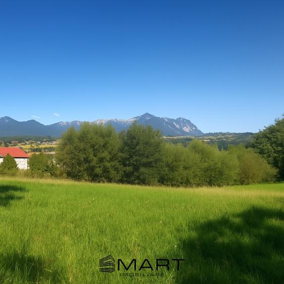 Teren intravilan 4200 mp Tohanu Nou - 2