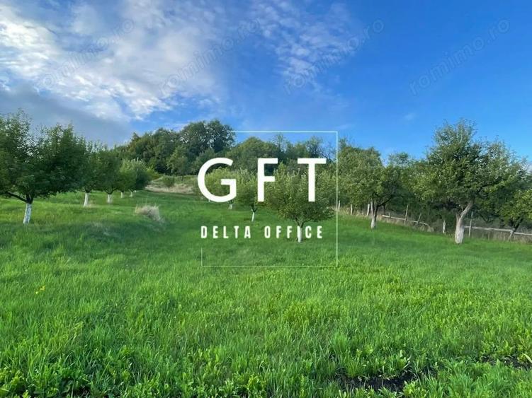 PARCELE TEREN INTRAVILAN 5-29.2 ARI - DOROLEA - 11