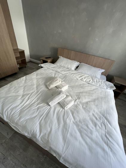 Vand Pensiune in statiunea Ranca Transalpina - 5