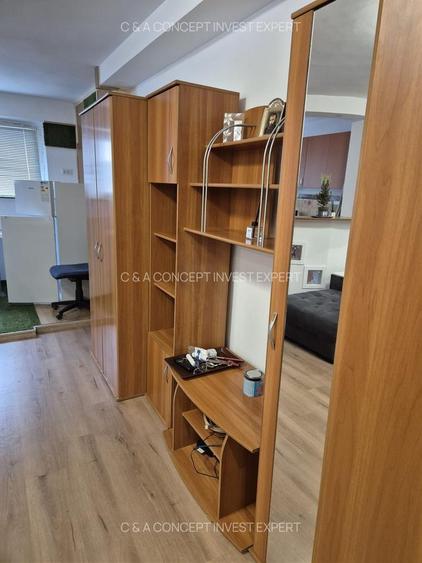 Berceni Brancoveanu Garsoniera - 4