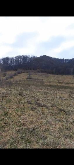 Teren Riu Sadului - 2 ha Acces stradal , zona cu potential turistic - 8