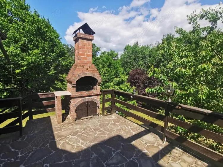 Casa de vacanta deosebita Breaza- Nistoresti - 15