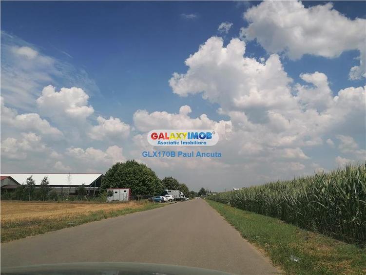 Teren Moara Vlasiei 40000 mp str Drumul Teilor Industrial utilitati - 3