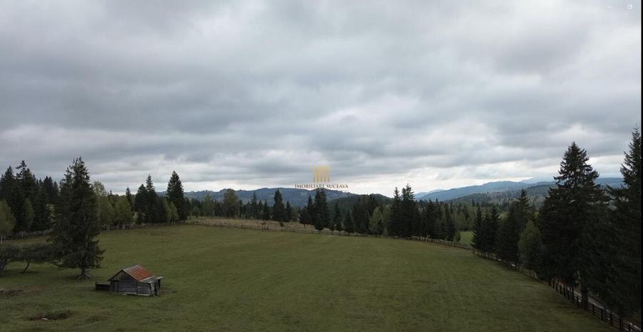 Teren 2804 mp, la munte! In Bucovina Fundu Moldovei! - 13