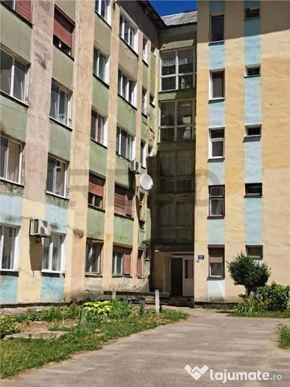 RECO Apartament cu doua camere in Padurea Neagra - 5