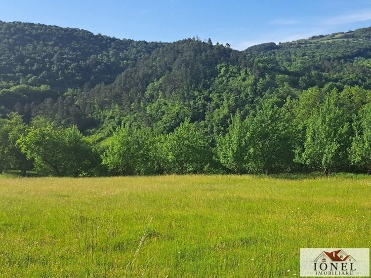 Vanzare casa cu 19.549 mp teren in Vintu de Jos - Valea Vintului - 10