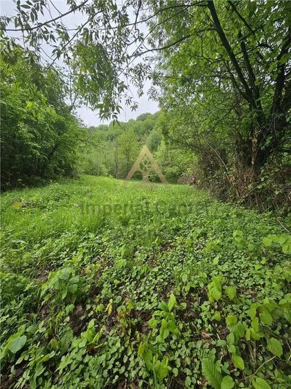 TEREN PENTRU BUSSINESS 2842 MP DE VANZARE IN STATIUNEA TARGU OCNA - 9