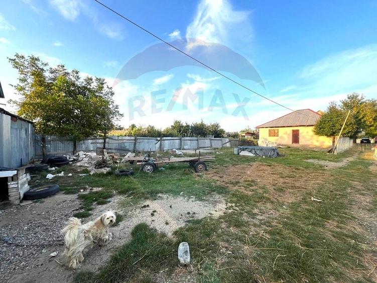 Casă de vânzare 3 camere - com. Letea Veche- sat. Holt - 6