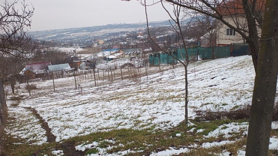 Teren 704 mp Breazu – asfalt + utilități – priveliște spre pădure – ideal casă - 7