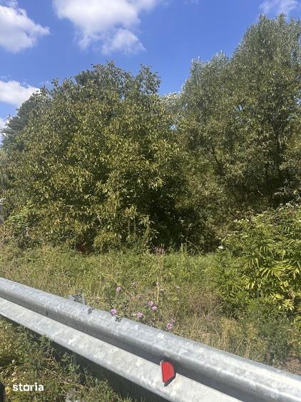 Teren de 2501 mp, în Ștefănești